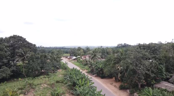 TERRAIN A ALEPE