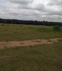 BINGERVILLE ELOKATE