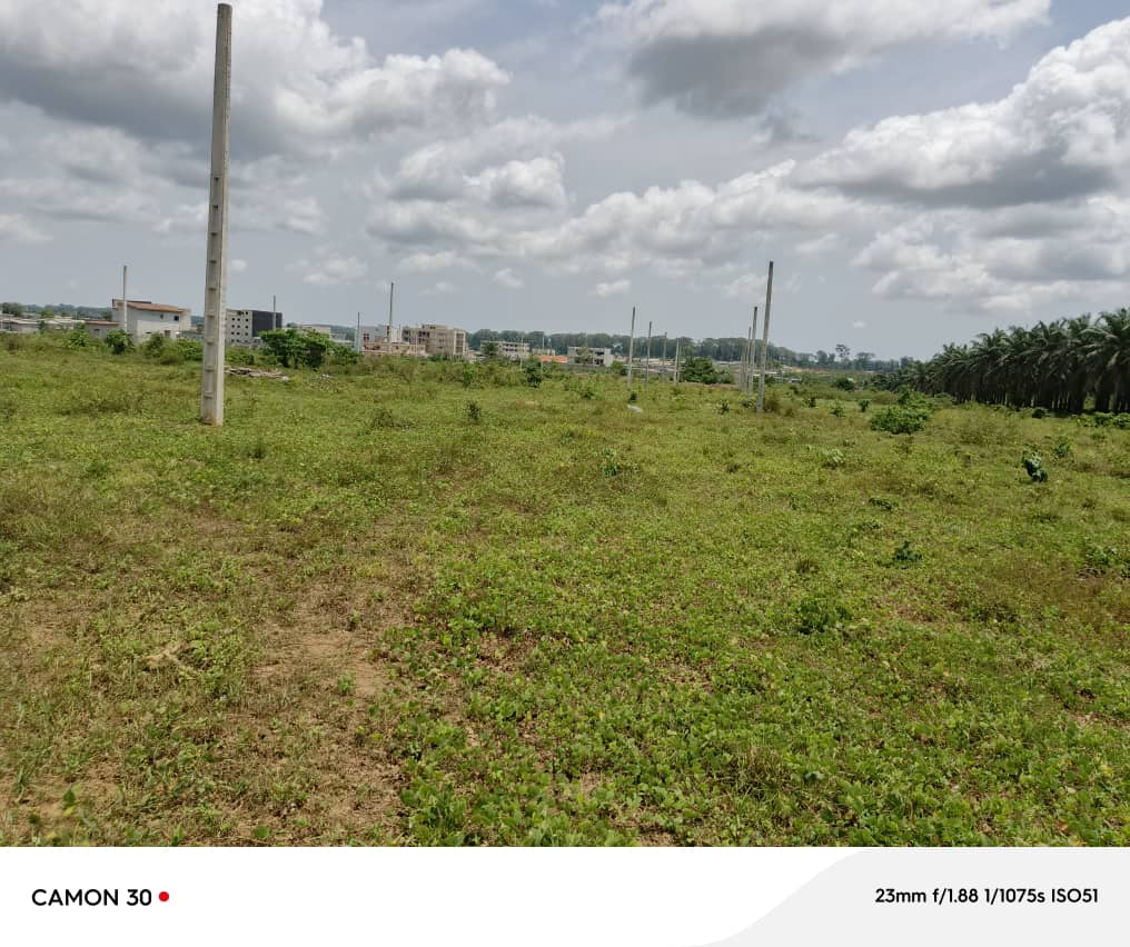 TERRAIN A ABOBO
